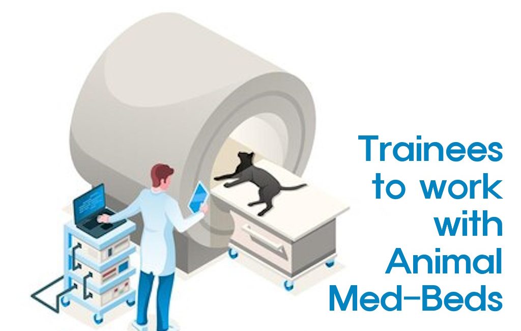 Animal Med-Bed Trainees